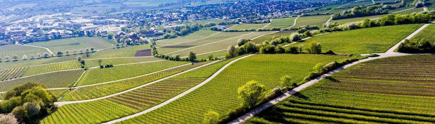 Weingut Volker Barth