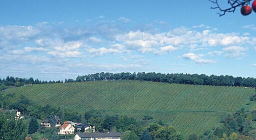 Weingut Iselin