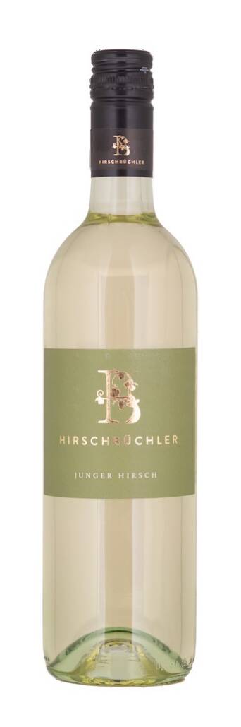 Junger Hirsch 2023