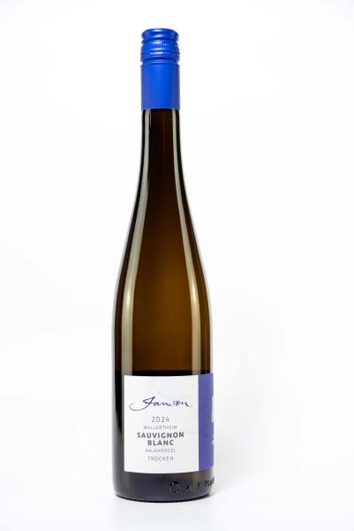 2024 Sauvignon blanc vom Kalkmergel | Wallertheim  | ORTSWEIN
