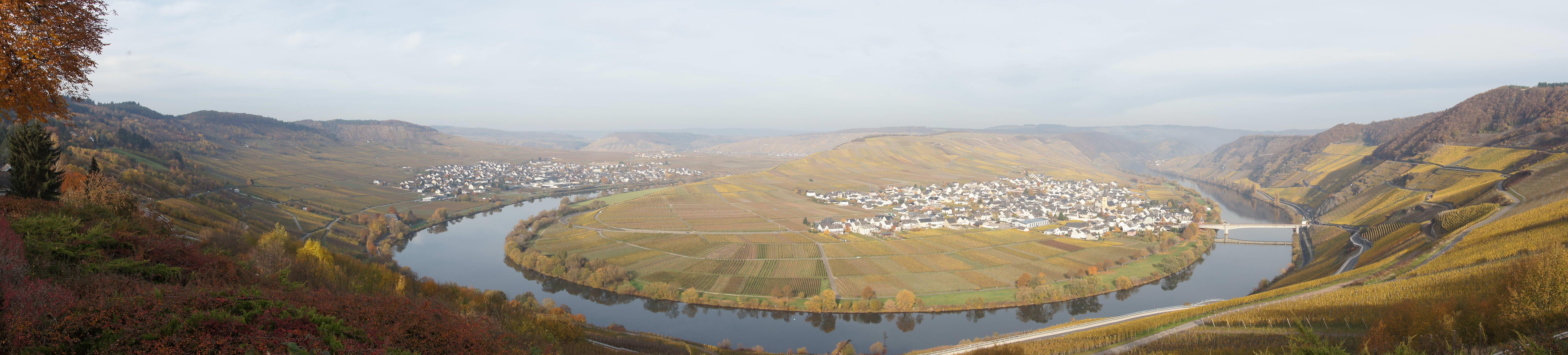 Weingut Loersch