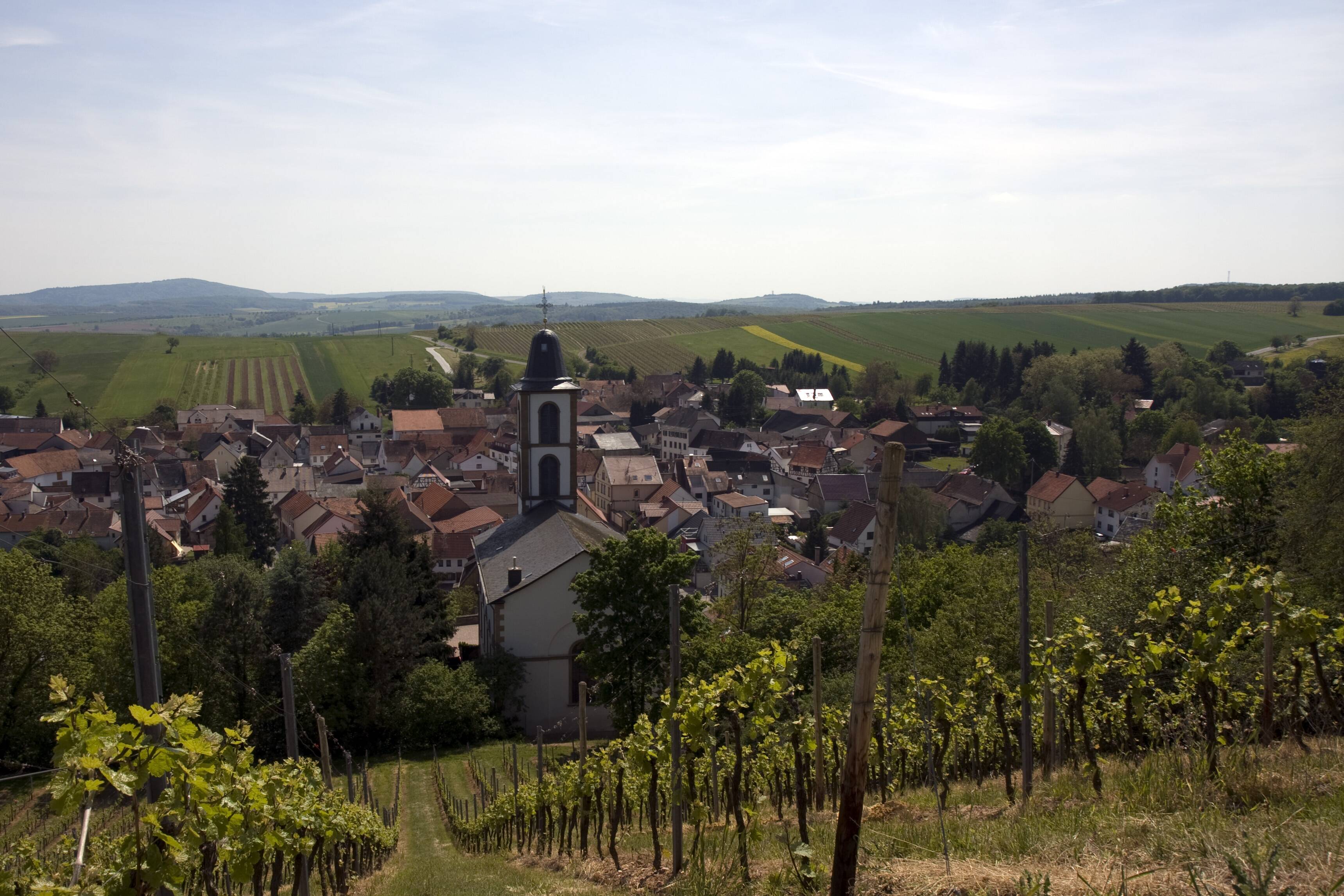 Weingut Sulzbacher