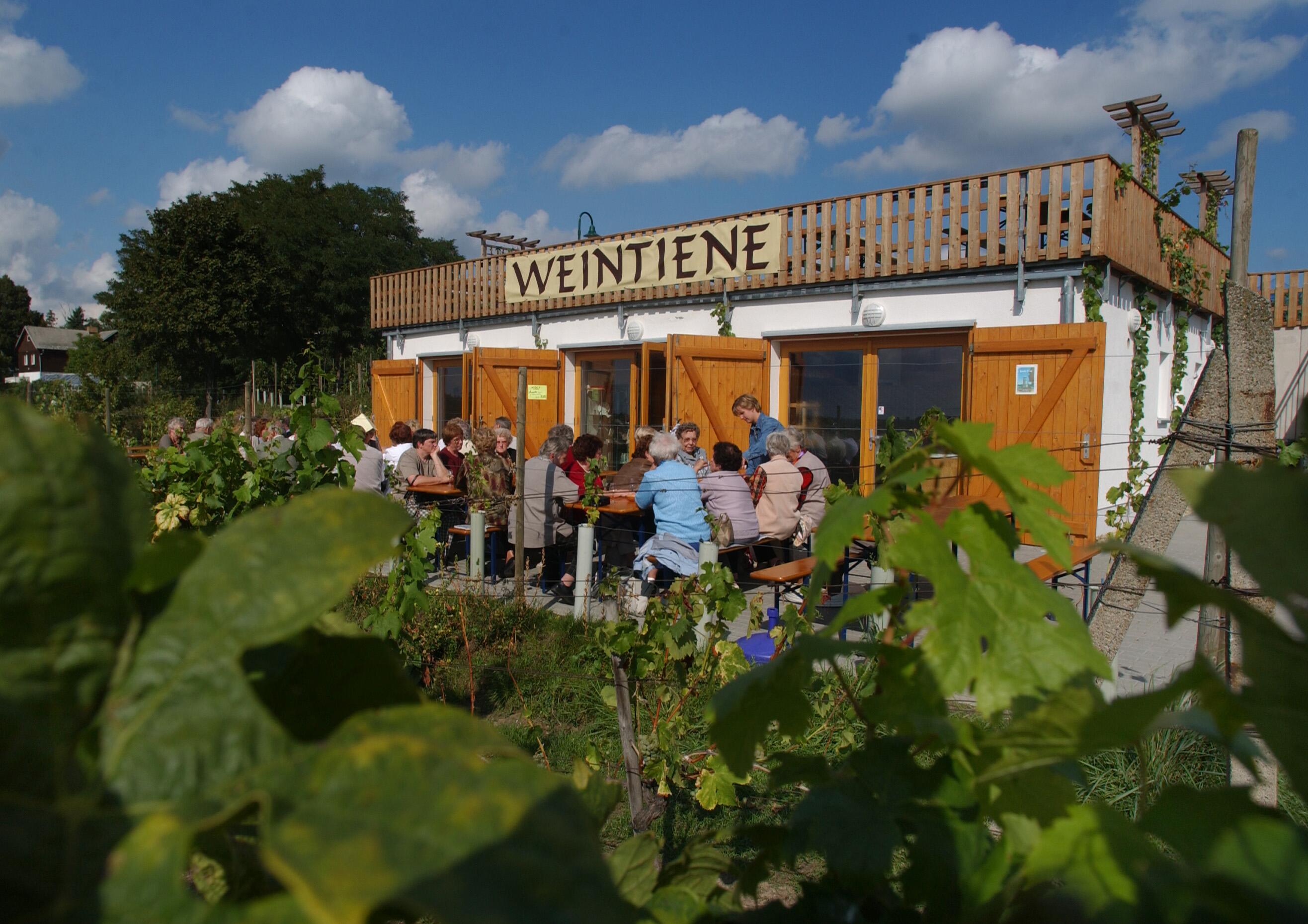 Weinbau Dr. Lindicke