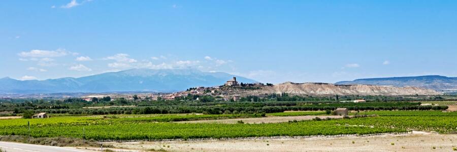 Weingut Terra de Falanis