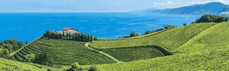 Weingut Reserva de la Tierra