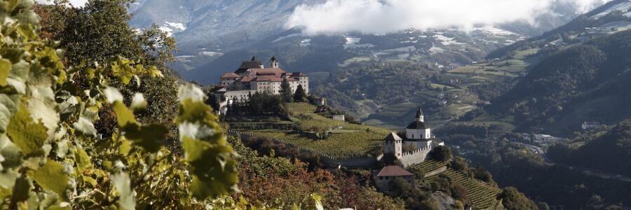 Weingut Eisacktaler Kellerei