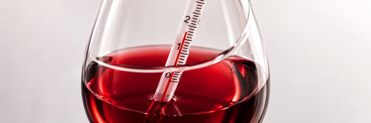 Temperatur, Temperament und andere Weinbefindlichkeiten