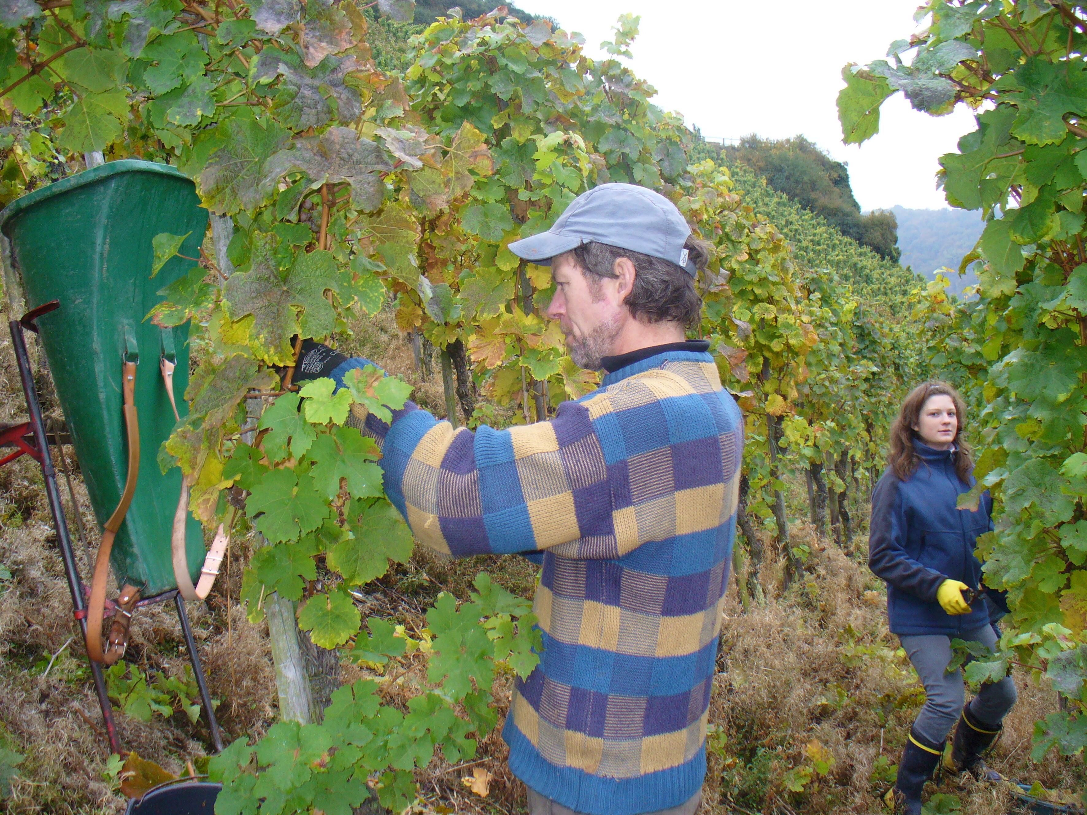 Weingut Michael Simon