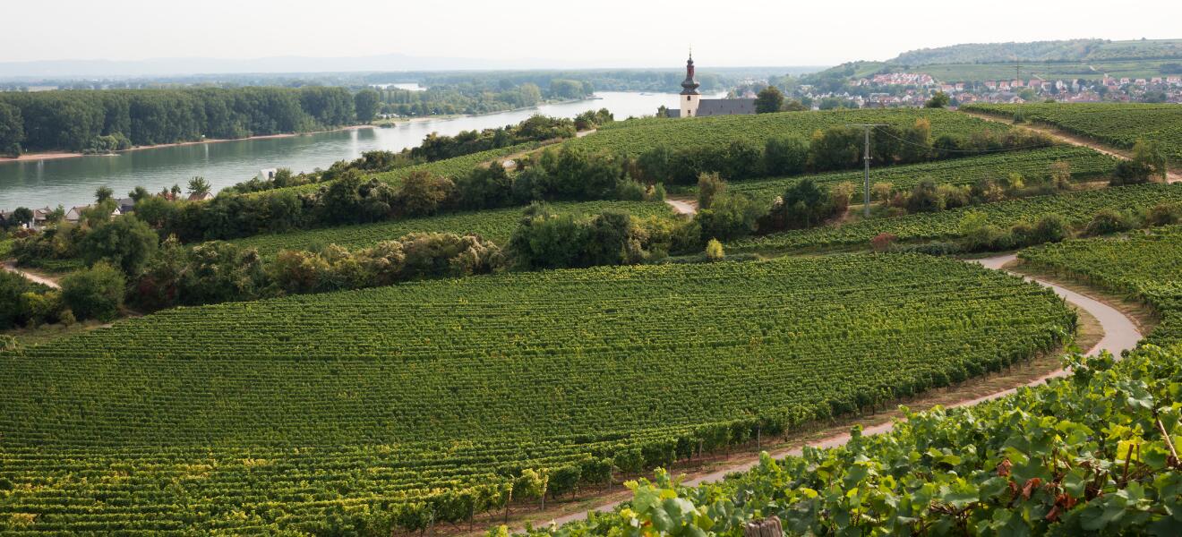 Weingut Leonhard