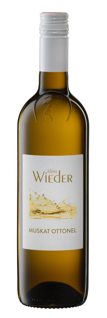 Muskat Ottonel Ernte 2024