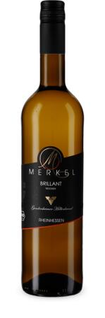 2020 Brillant Weißburgunder & Chardonnay "Gundersheimer Höllenbrand"