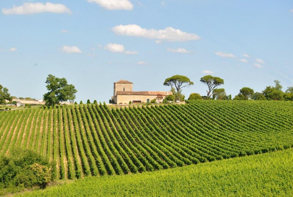 Château Chrismar - Vignobles Clissey Fermis