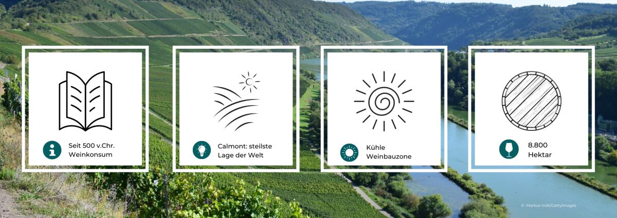 Statistik zu den Weinen aus dem Weinbaugebiet Mosel