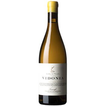 2024 Vidonia