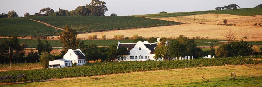 Weingut Jacaranda