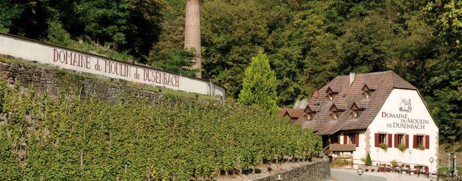 Weingut Domaine Dusenbach