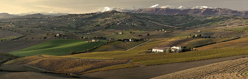 Weingut Tenute Muròla