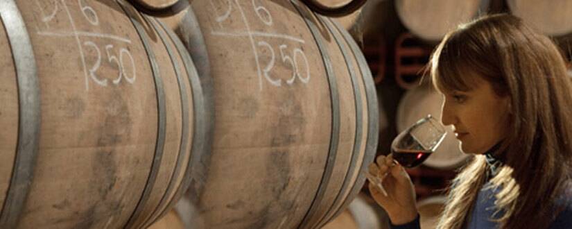 Weingut Criadores de Rioja
