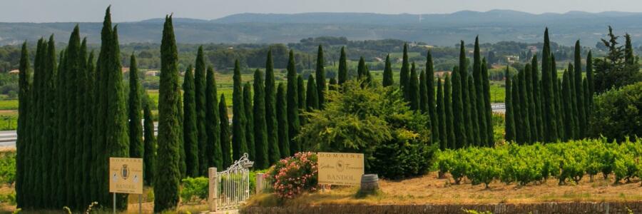 Weingut Domaine Guilhem