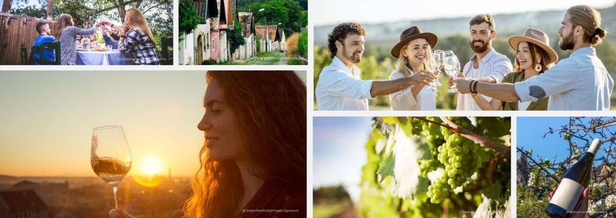 Menschen trinken Wein im Weinviertel