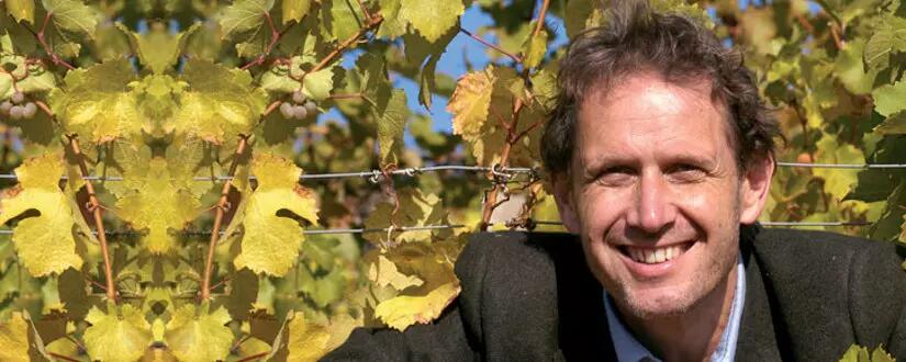 Weingut Willi Bründlmayer