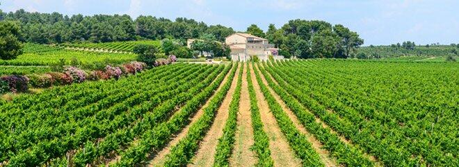 Weingut Maison Lavelle