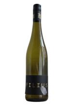 2024 "Filius" Müller Thurgau trocken