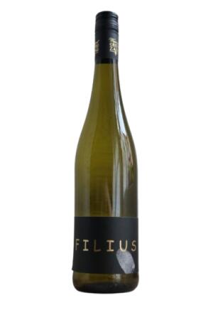2024 "Filius" Müller Thurgau trocken