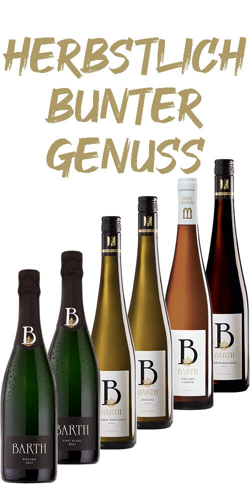 Probepaket HERBSTLICH BUNT