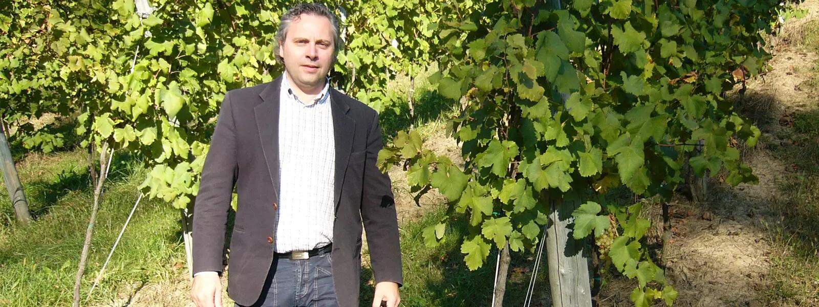 Weingut Colli del Soligo