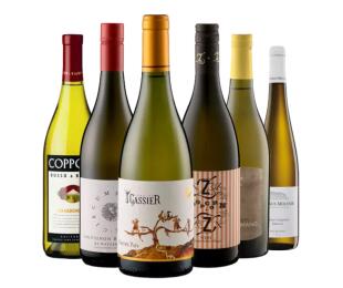 Rund um die Welt - Weißwein