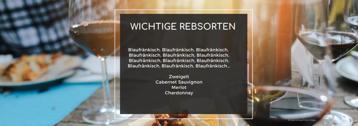 Rebsorten im Mittelburgenland