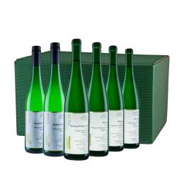 Geschenkpaket Rotwein / Riesling Auswahl 2018 - grüner Geschenkkarton