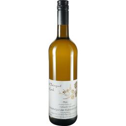 2022 Steinacker Grauburgunder Kabinett trocken  Weingut Koch