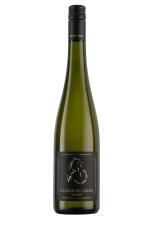 2022 Grüner Veltliner - trocken -