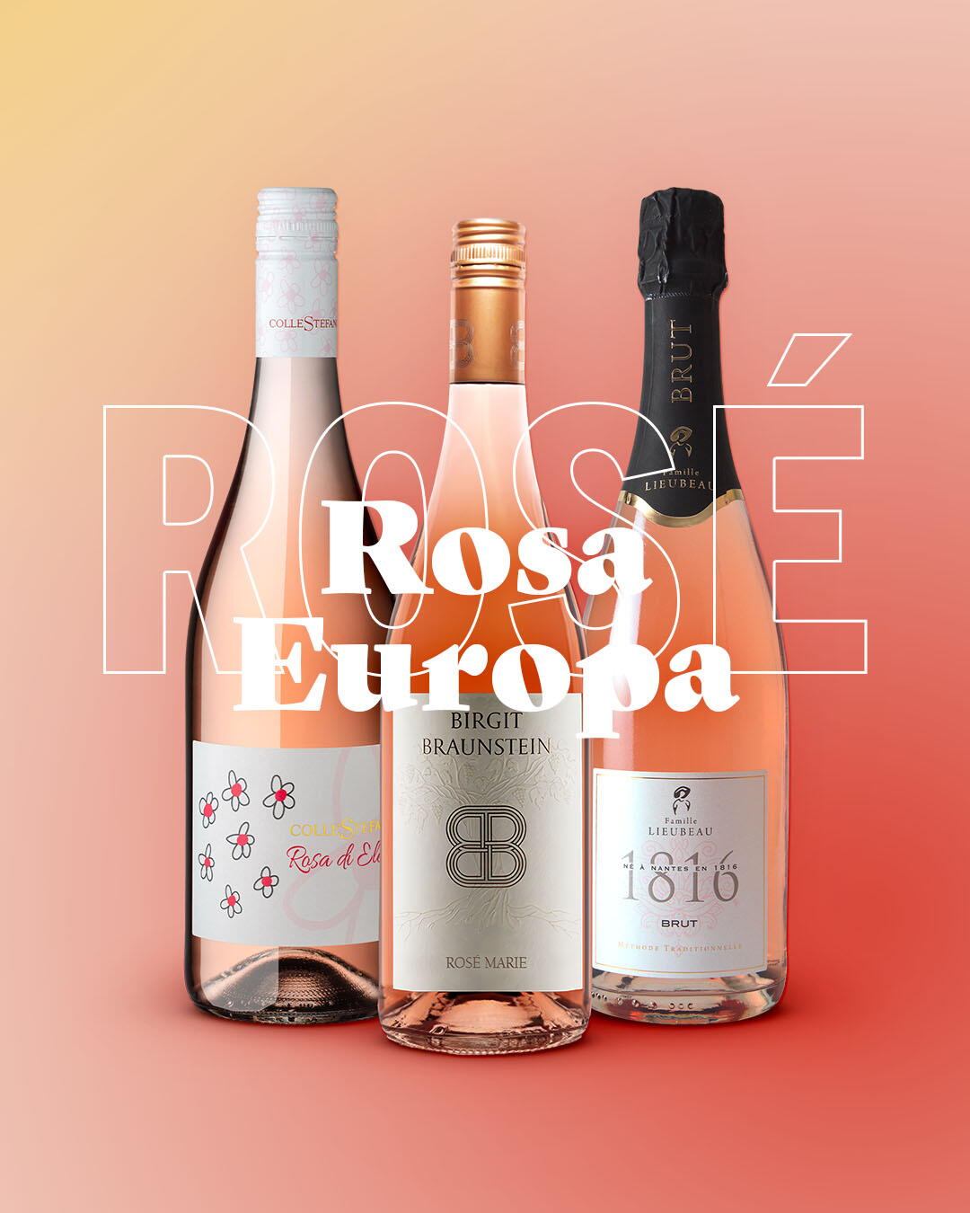 Rosa Europa - Paket