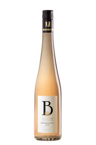 2024 SPÄTBURGUNDER ROSÉ trocken - BIO