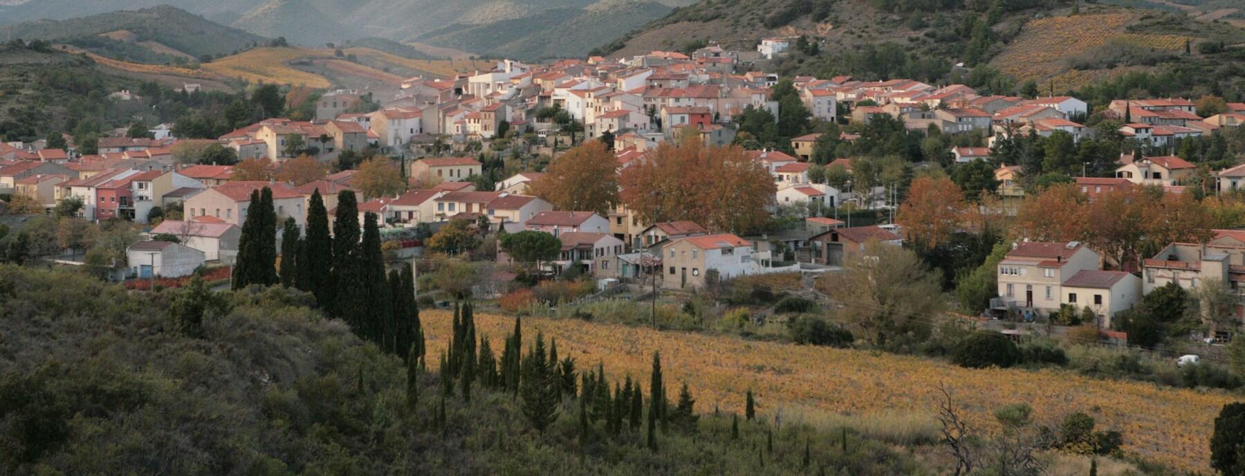 Domaine de la Pertuisane