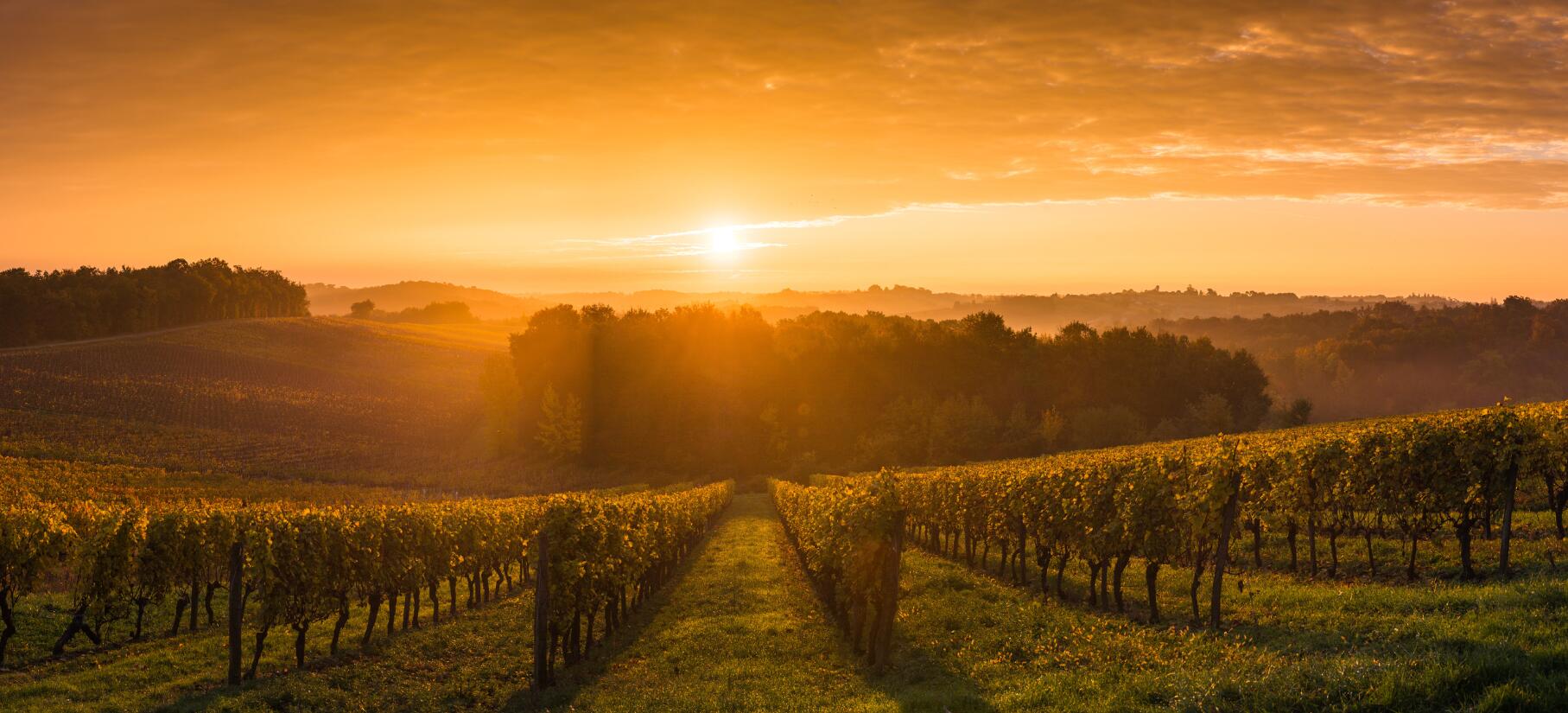 Weinmanufaktur Frey GmbH