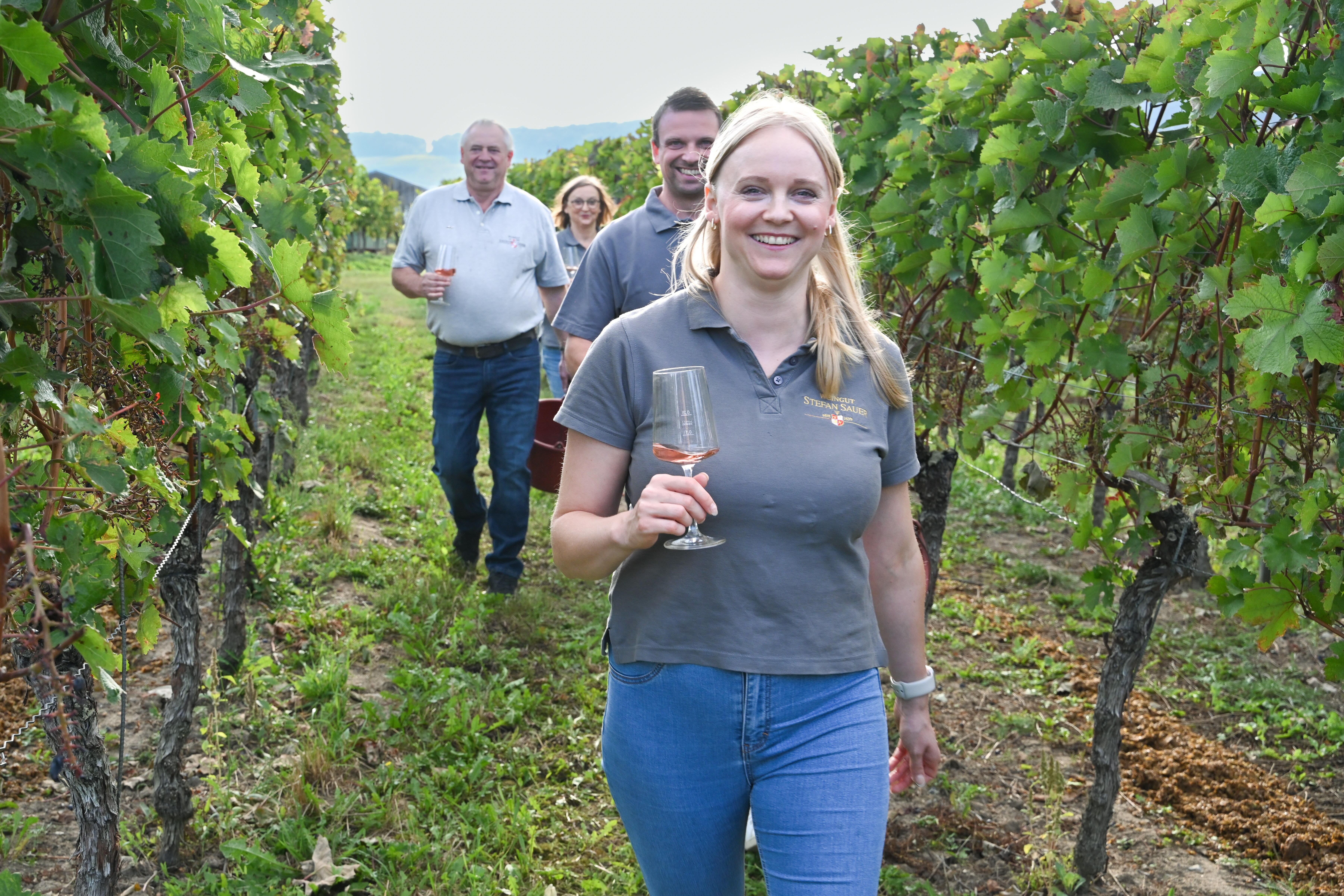 Weingut Stefan Sauer