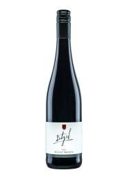 Regent  2020 Angebot Weingut Bitzel