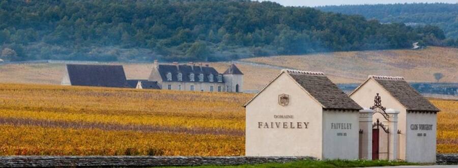 Weingut Domaine Faiveley