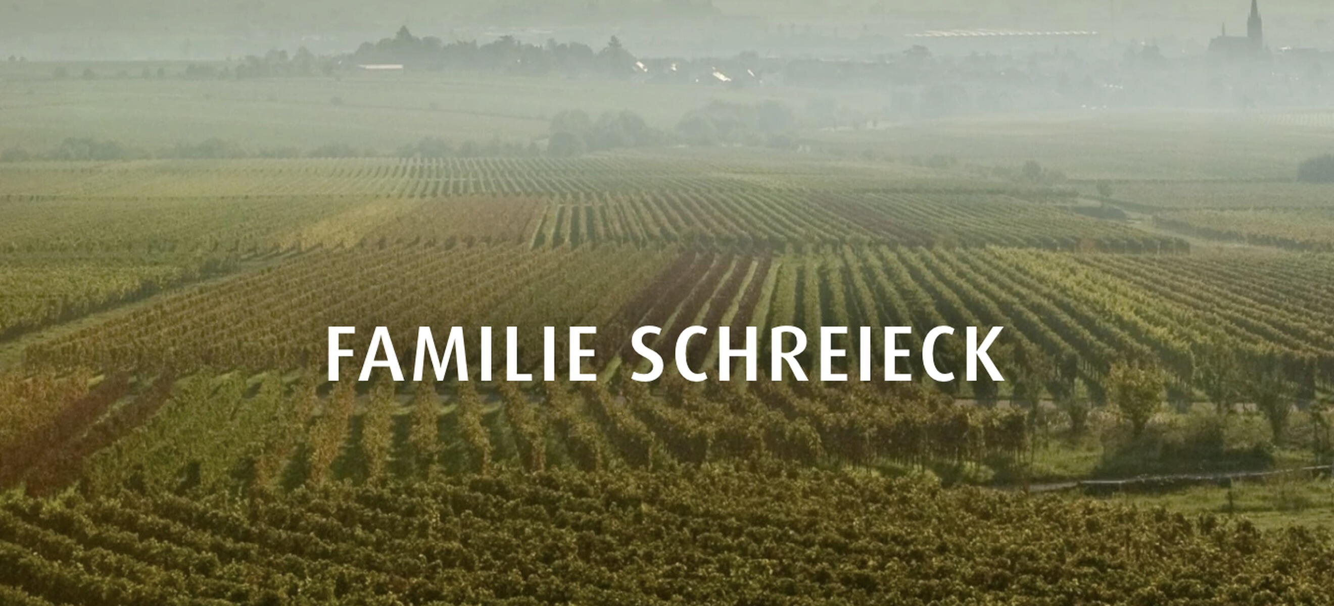Schreieck Weinwelt GmbH