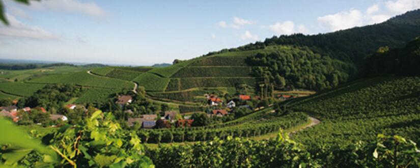 Weingut Knab