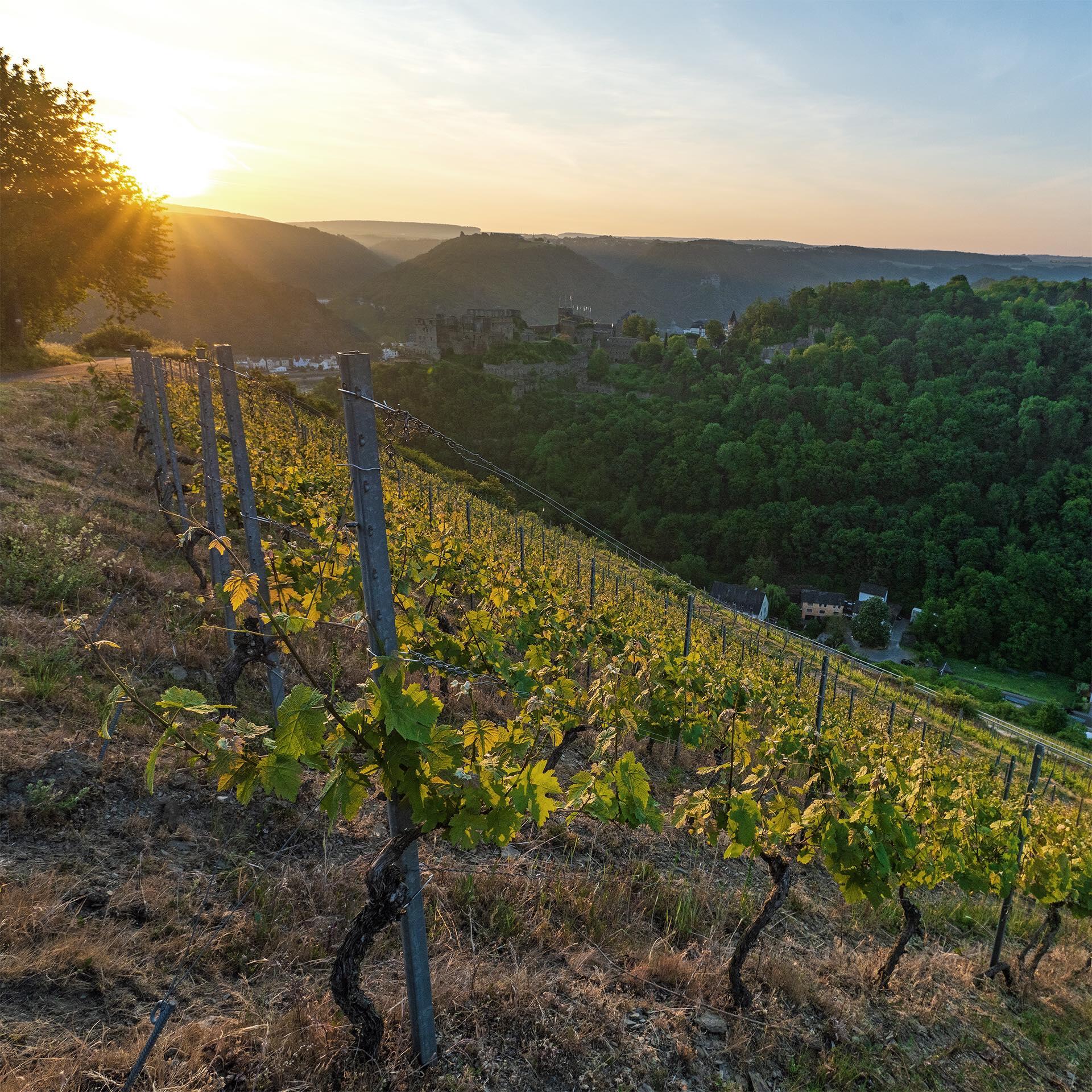 Weingut Philipps-Mühle