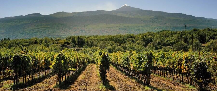 Weingut Pasini San Giovanni