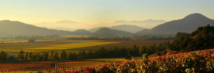 Weingut Viña Siegel