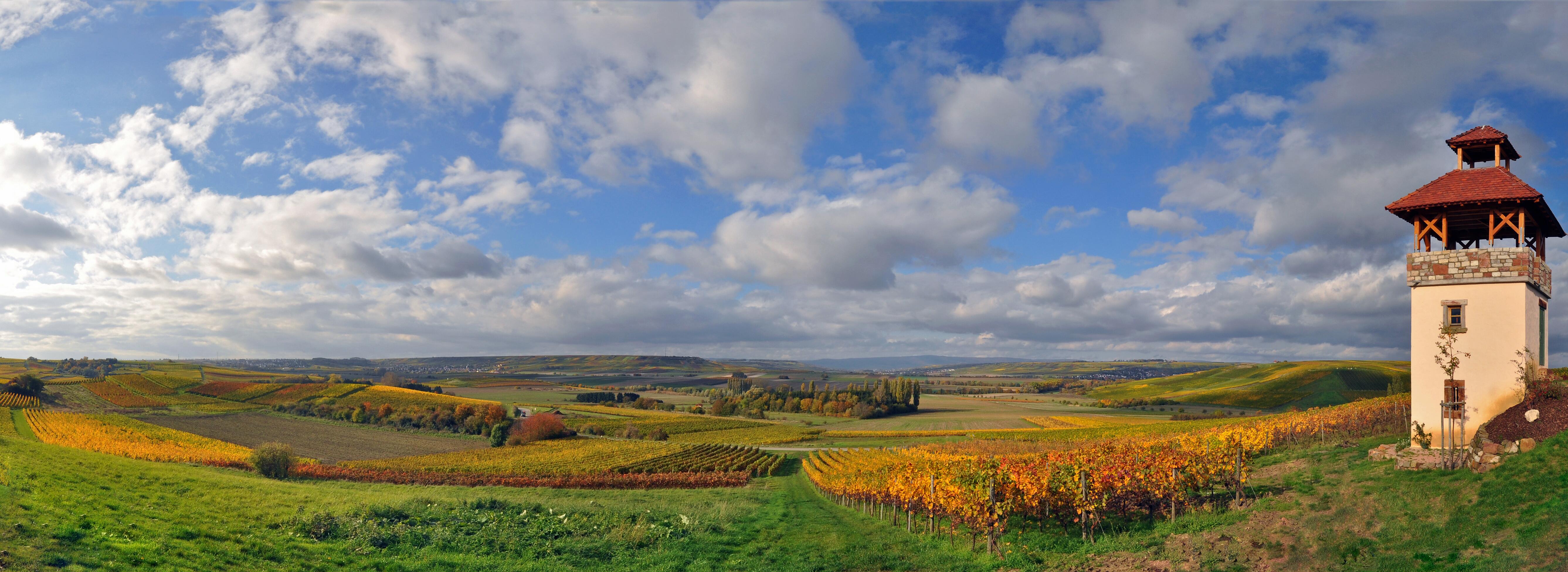 Familienweingut Dechent Inh. O. Becker