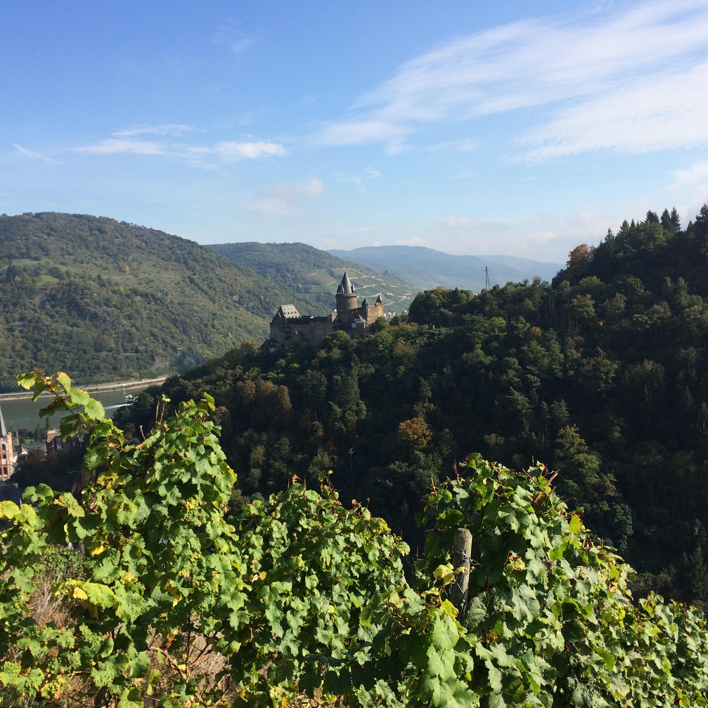 Weingut Lennard