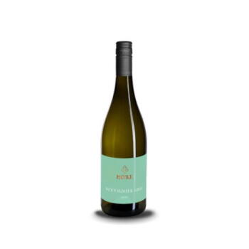 2025 Weingut Patke - Souvignier Gris Brandenburger Landwein trocken (WLS exklusiv)